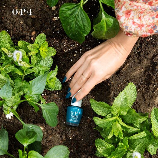 Opi